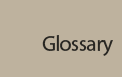 Glossary